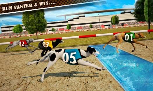 Dog Race & Stunts 2016 1.4